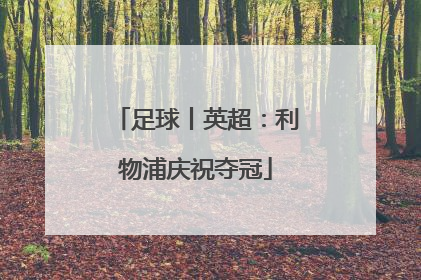 足球丨英超：利物浦庆祝夺冠