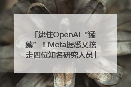 逮住OpenAI“猛薅”！Meta据悉又挖走四位知名研究人员