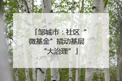 邹城市：社区“微基金”撬动基层“大治理”
