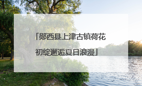 郧西县上津古镇荷花初绽邂逅夏日浪漫