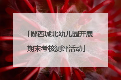 郧西城北幼儿园开展期末考核测评活动