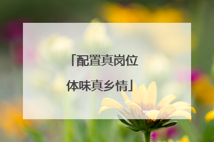 配置真岗位 体味真乡情