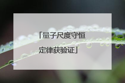 量子尺度守恒定律获验证
