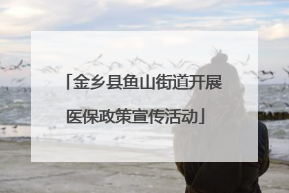 金乡县鱼山街道开展医保政策宣传活动
