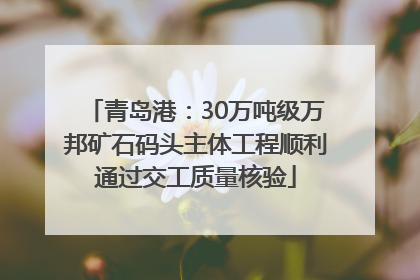 青岛港：30万吨级万邦矿石码头主体工程顺利通过交工质量核验