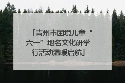 青州市困境儿童“六一”地名文化研学行活动温暖启航