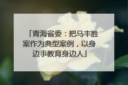 青海省委：把马丰胜案作为典型案例，以身边事教育身边人