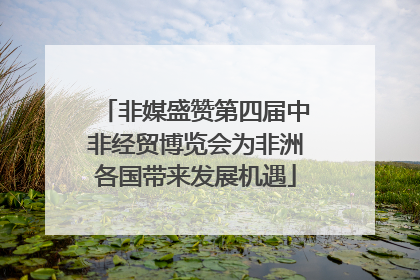 非媒盛赞第四届中非经贸博览会为非洲各国带来发展机遇
