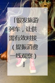 银发旅游列车，让供需有效对接（提振消费一线观察）