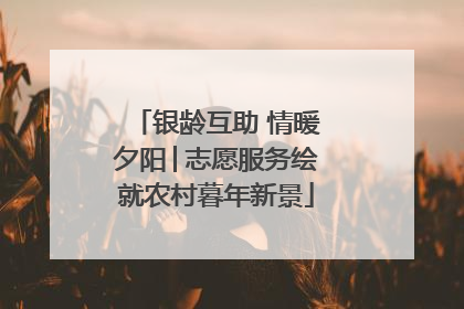 银龄互助 情暖夕阳│志愿服务绘就农村暮年新景