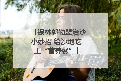 锡林郭勒盟治沙小妙招 给沙地吃上“营养餐”