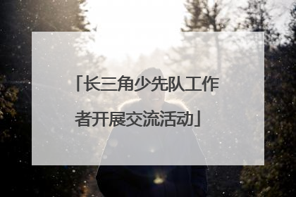 长三角少先队工作者开展交流活动
