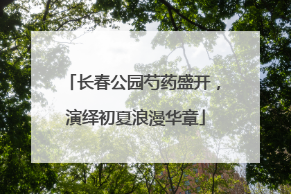 长春公园芍药盛开，演绎初夏浪漫华章