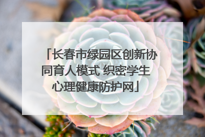 长春市绿园区创新协同育人模式 织密学生心理健康防护网