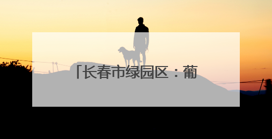 长春市绿园区：葡萄园里绿意浓 “紫色经济”焕新枝