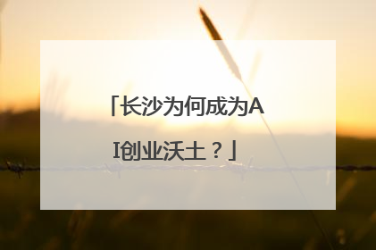 长沙为何成为AI创业沃土？