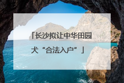 长沙拟让中华田园犬“合法入户”
