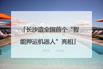 长沙造全国首个“智能押运机器人”亮相