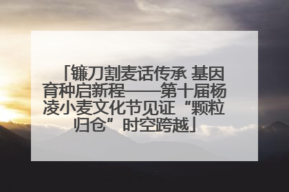 镰刀割麦话传承 基因育种启新程——第十届杨凌小麦文化节见证“颗粒归仓”时空跨越