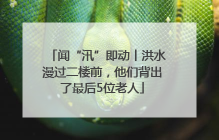 闻“汛”即动丨洪水漫过二楼前，他们背出了最后5位老人