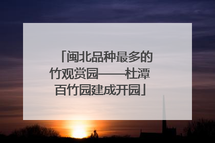闽北品种最多的竹观赏园——杜潭百竹园建成开园