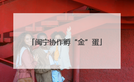 闽宁协作孵“金”蛋
