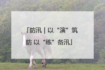 防汛｜以“演”筑防 以“练”备汛
