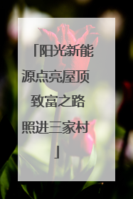 阳光新能源点亮屋顶 致富之路照进三家村