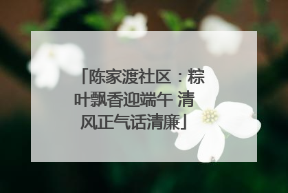 陈家渡社区：粽叶飘香迎端午 清风正气话清廉