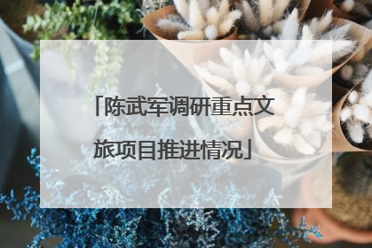 陈武军调研重点文旅项目推进情况