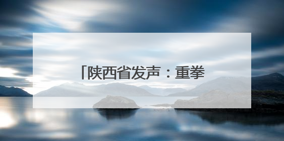陕西省发声：重拳出击、高压震慑