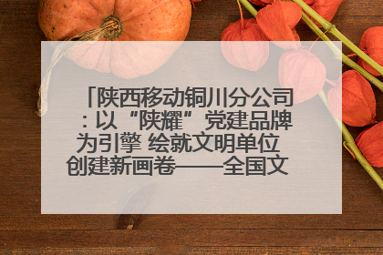 陕西移动铜川分公司：以“陕耀”党建品牌为引擎 绘就文明单位创建新画卷——全国文明单位创建纪实