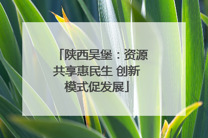 陕西吴堡：资源共享惠民生 创新模式促发展