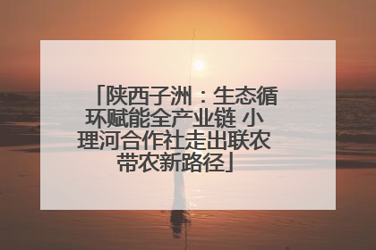 陕西子洲：生态循环赋能全产业链 小理河合作社走出联农带农新路径