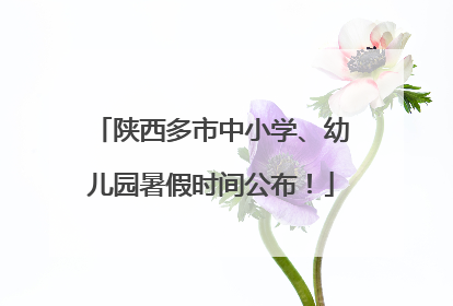 陕西多市中小学、幼儿园暑假时间公布！