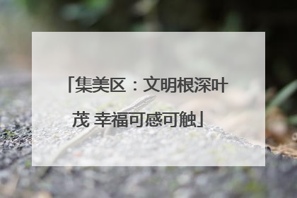 集美区：文明根深叶茂 幸福可感可触