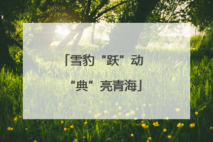 雪豹“跃”动 “典”亮青海