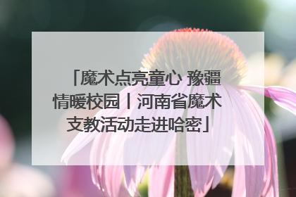 魔术点亮童心 豫疆情暖校园丨河南省魔术支教活动走进哈密