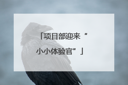 项目部迎来“小小体验官”