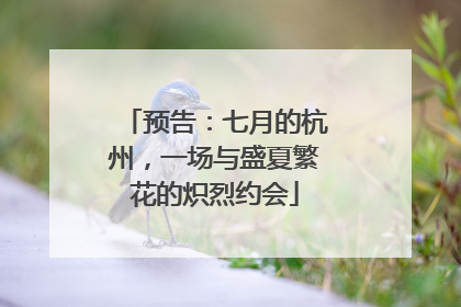 预告：七月的杭州，一场与盛夏繁花的炽烈约会