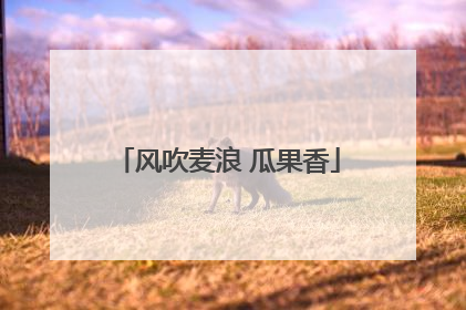 风吹麦浪 瓜果香