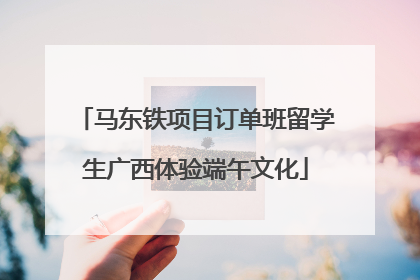 马东铁项目订单班留学生广西体验端午文化