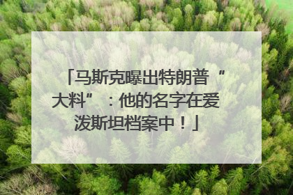 马斯克曝出特朗普“大料”：他的名字在爱泼斯坦档案中！