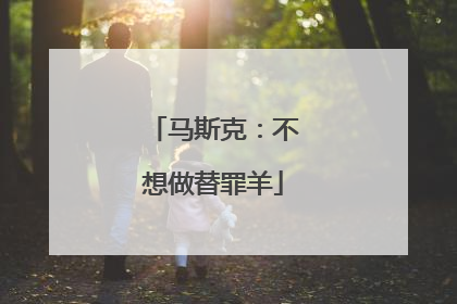 马斯克：不想做替罪羊