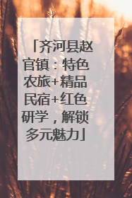 齐河县赵官镇：特色农旅+精品民宿+红色研学，解锁多元魅力
