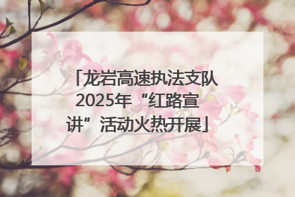 龙岩高速执法支队2025年“红路宣讲”活动火热开展