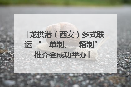龙拱港（西安）多式联运 “一单制、一箱制” 推介会成功举办