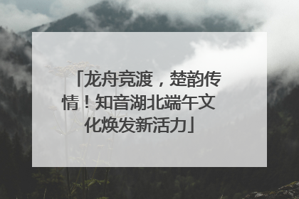 龙舟竞渡，楚韵传情！知音湖北端午文化焕发新活力