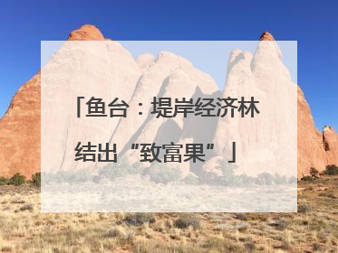 鱼台：堤岸经济林结出“致富果”