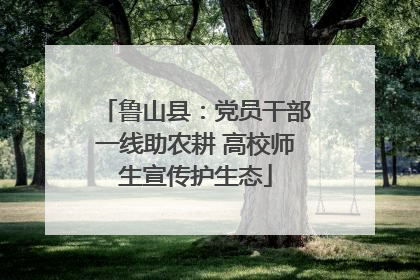 鲁山县：党员干部一线助农耕 高校师生宣传护生态